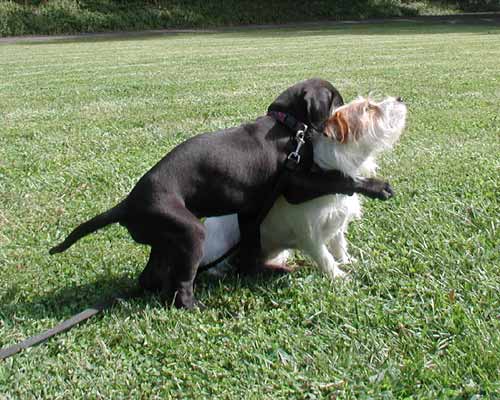 Tobias and Molly